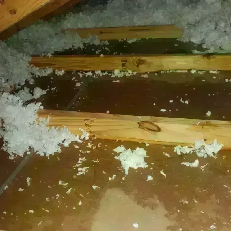 Attic Water Damage in Woodburn, VA