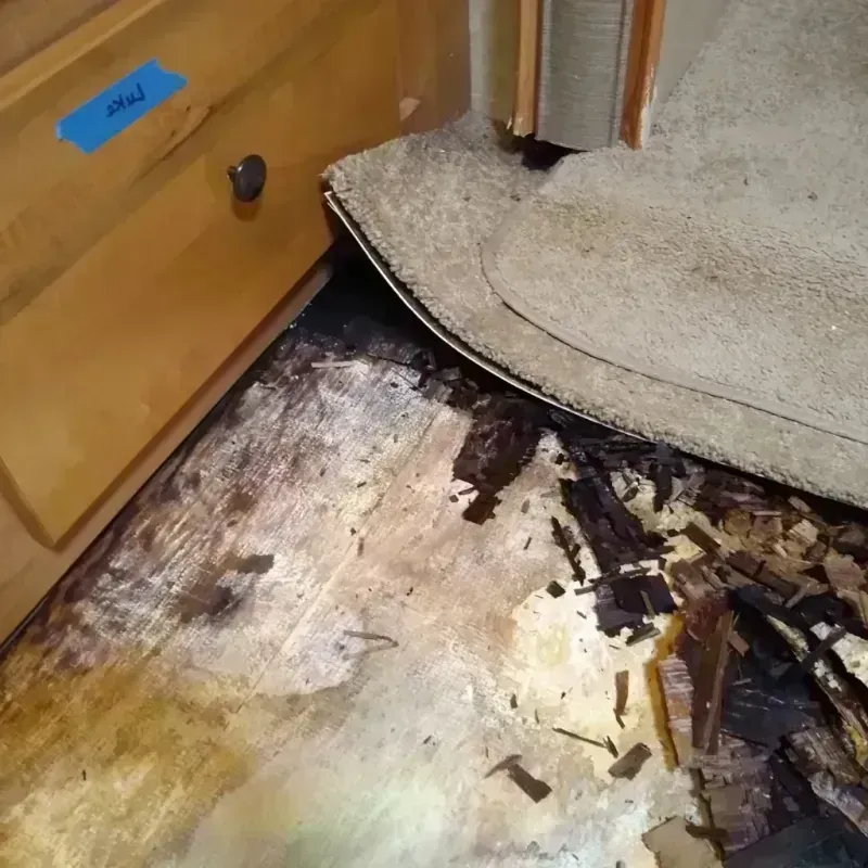 Wood Floor Water Damage in Woodburn, VA